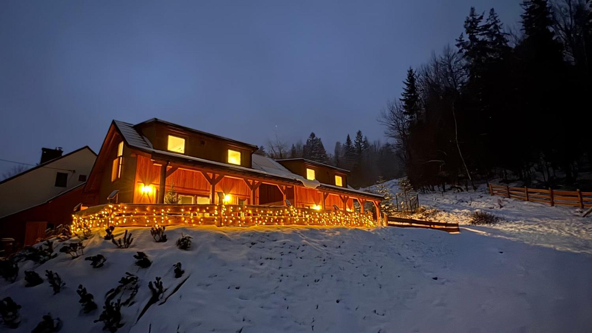 Gosciejowka Na Skraju Lasu Visla Exteriér fotografie