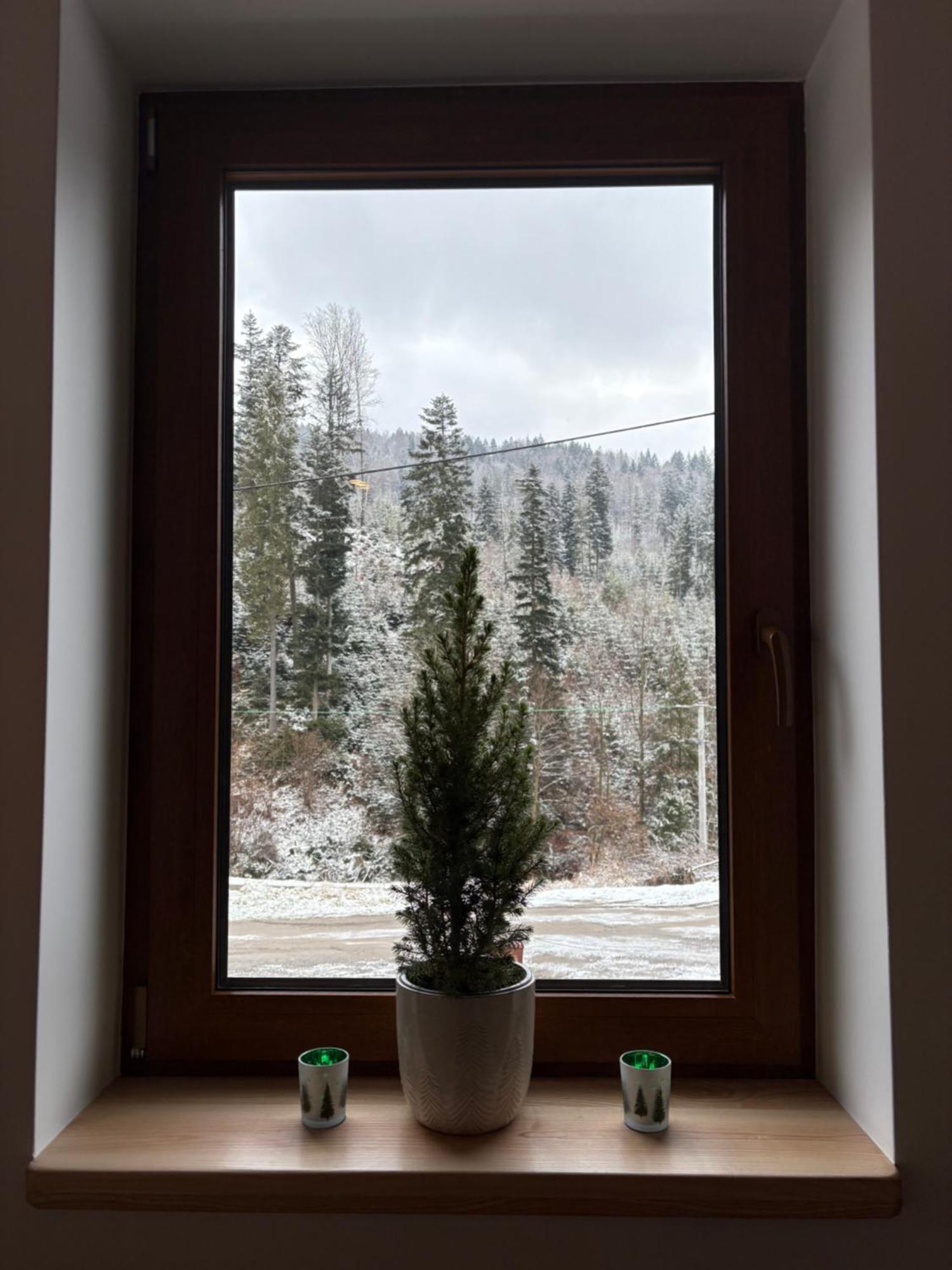 Gosciejowka Na Skraju Lasu Visla Exteriér fotografie